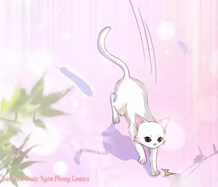 thần luân mật luyến chapter 34 33