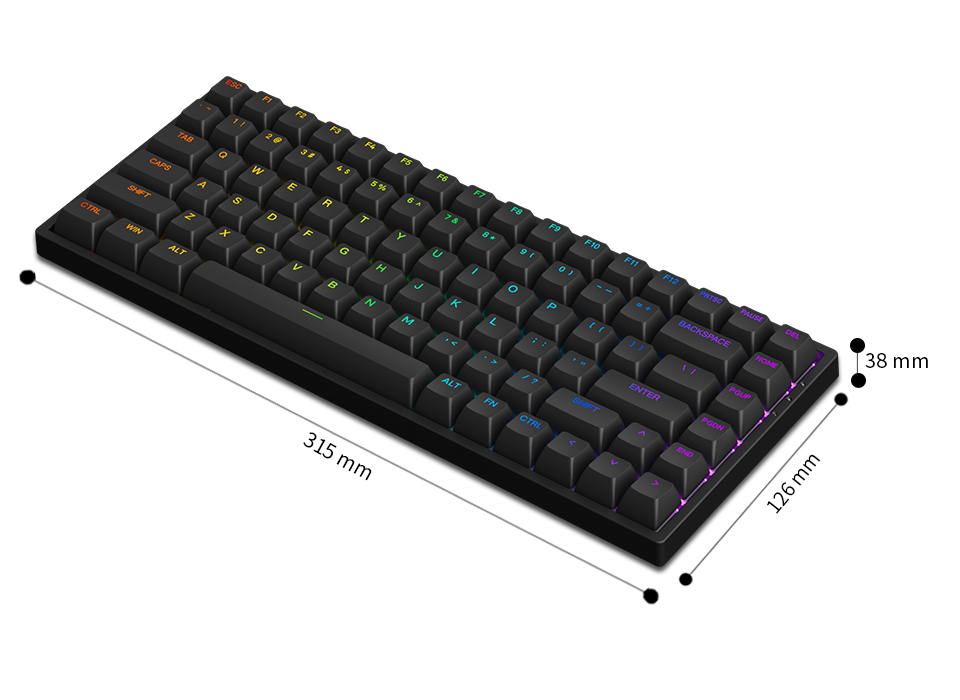 Bàn phím cơ AKKO 3084 v2 RGB – Black/White (Foam tiêu âm / Hotswap / AKKO CS Jelly switch) - Hàng chính hãng