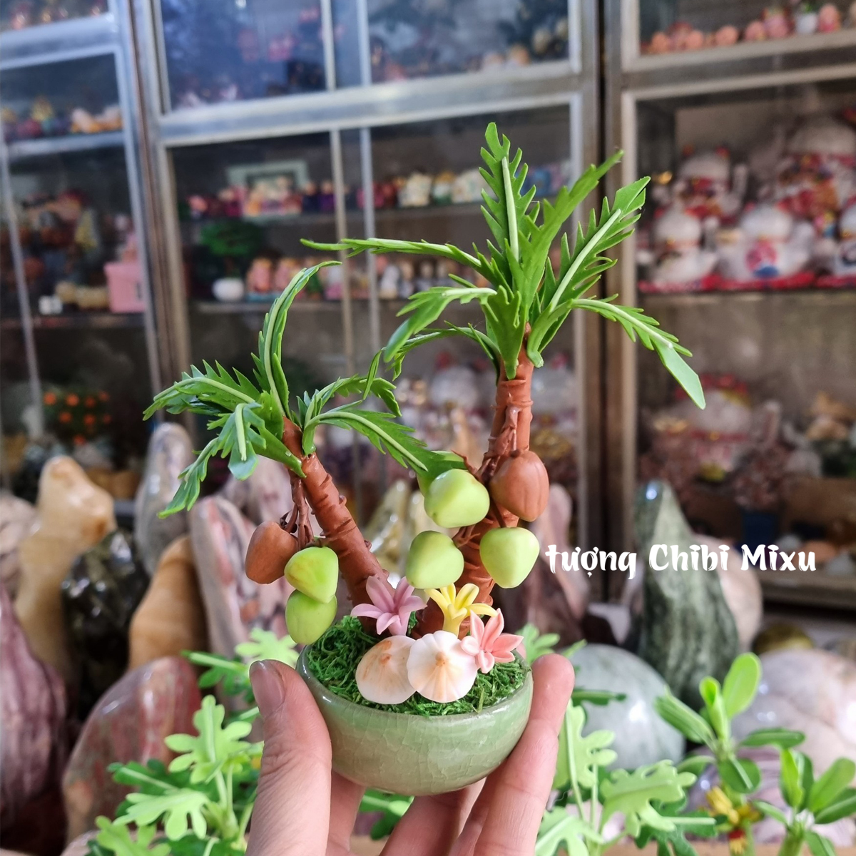 Chậu cây dừa 16cm bằng đất sét Nhật - kinh doanh thịnh vượng