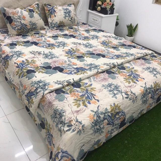 Bộ chăn ga gối đũi trần
