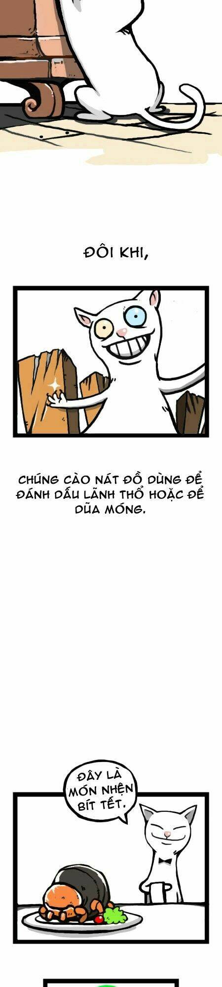 earth, human, and animal chapter 12 13