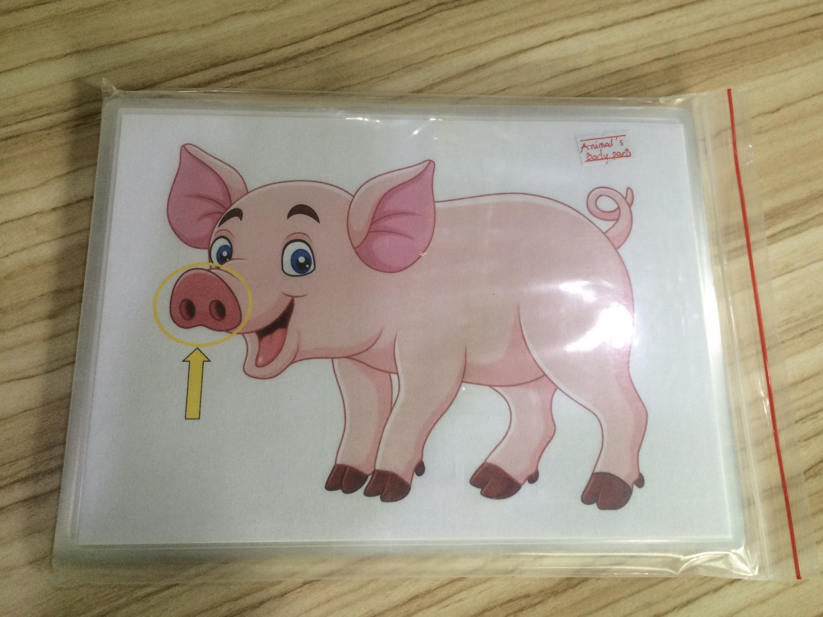 Animals' body part Flashcards - Thẻ học tiếng Anh chủ đề các bộ phận cơ thể động vật - 15 cards