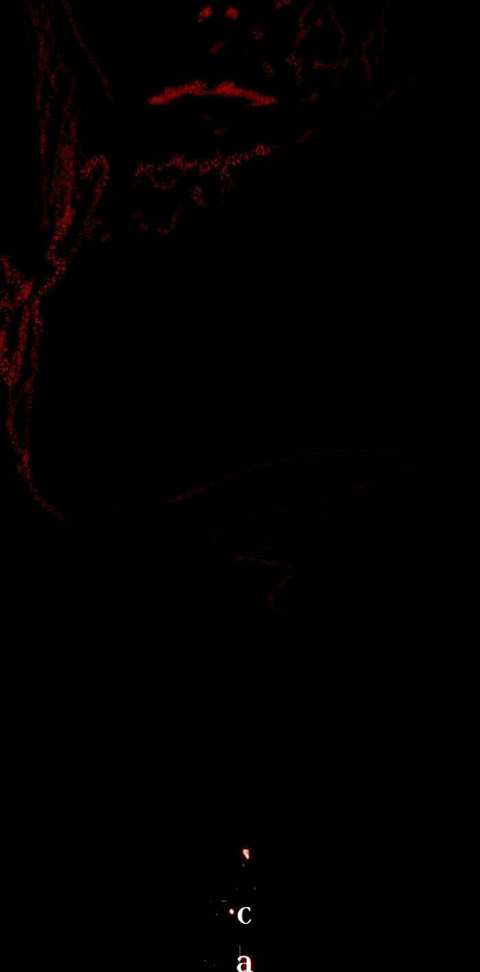 catharsis chapter 0 9