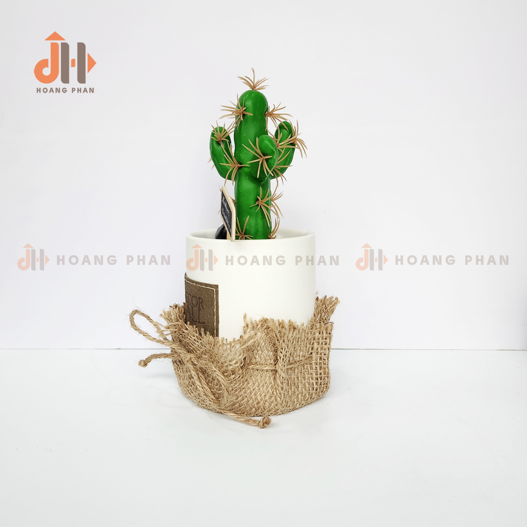 Trụ xương rồng ống vĩnh cửu trang trí