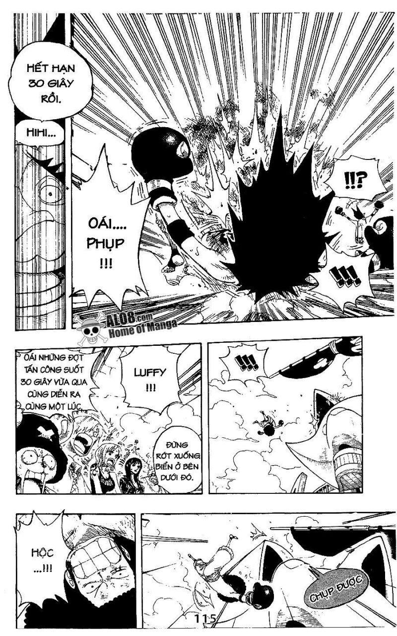 đảo hải tặc - one piece chapter 314 13