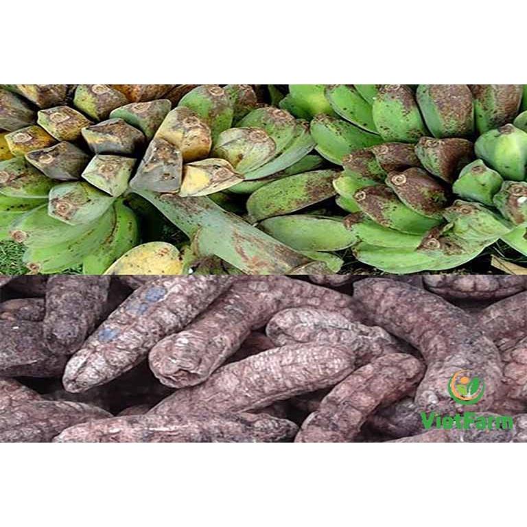 1kg chuối hột rừng khô sạch, hàng thái miếng