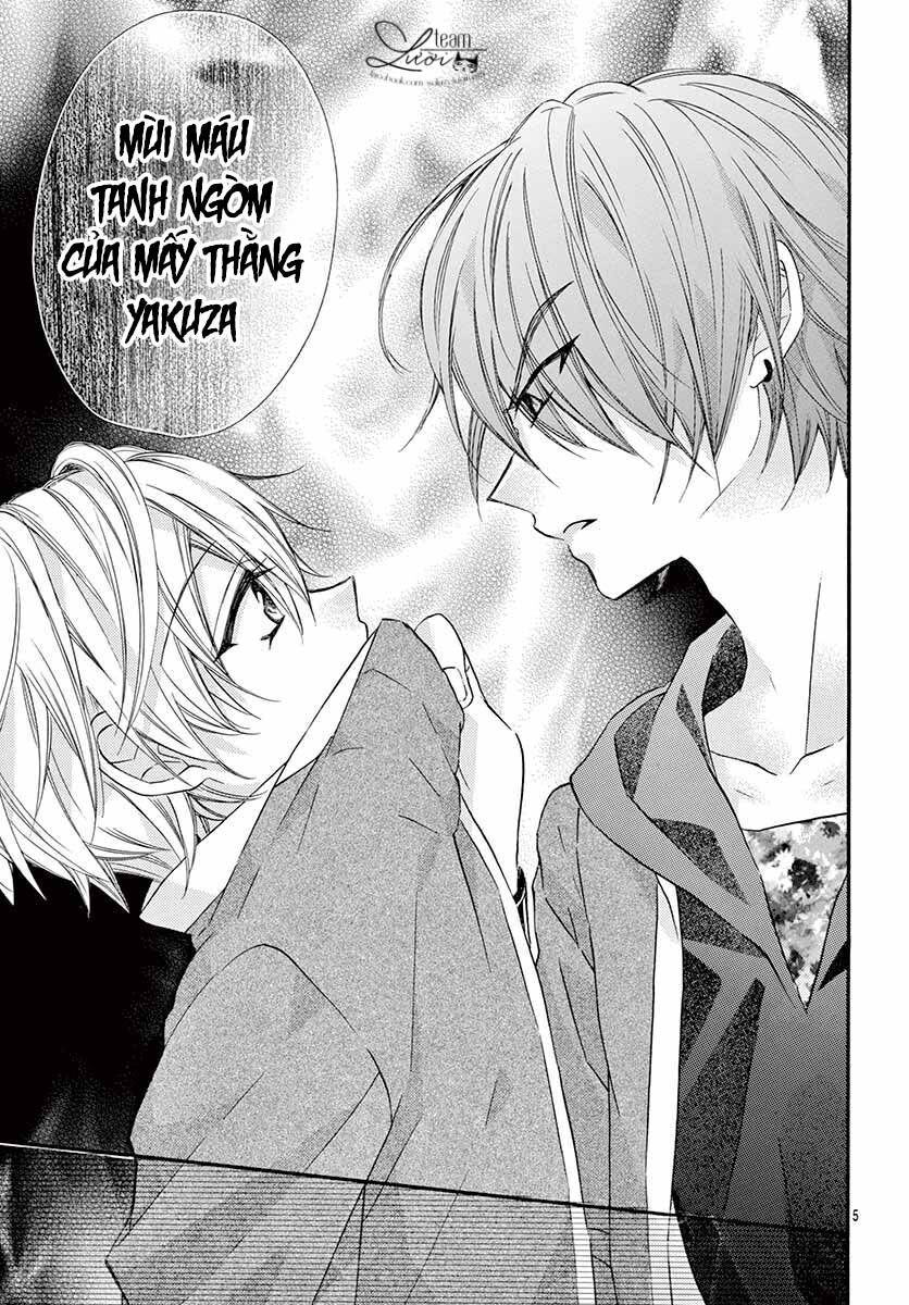 chàng rể giả nhân giả nghĩa chapter 4 5