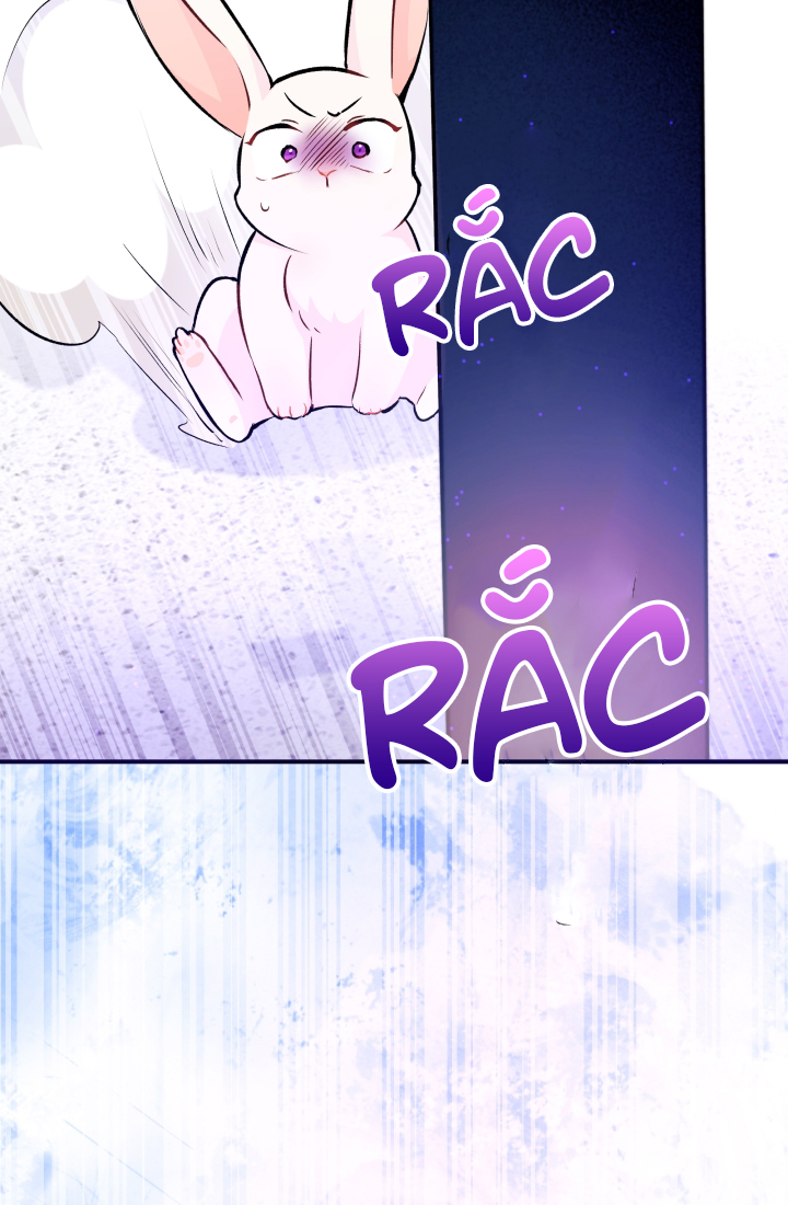 mối liên kết giữa báo đen và bé thỏ chapter 3 68