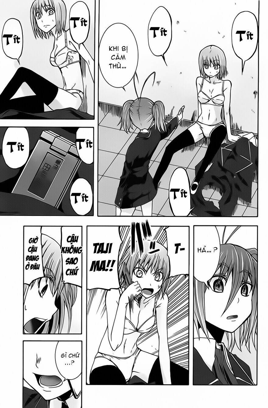 arachnid chapter 10 13