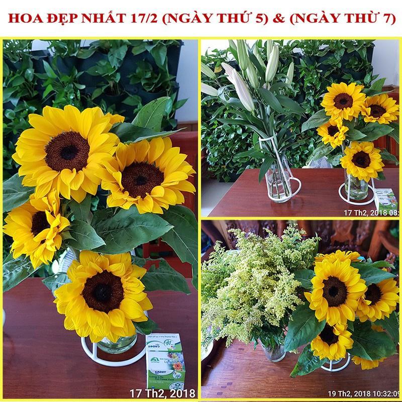 Bột Dưỡng Hoa Cắt Cành Lâu Tàn KNS226