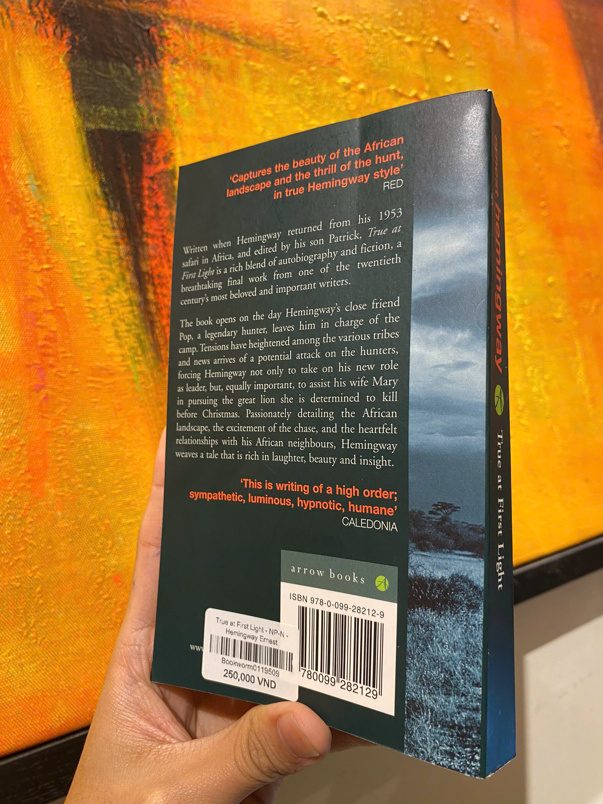 Sách - True at First Light by Ernest Hemingway - Sách Ngoại văn - English Book - Nhập khẩu UK