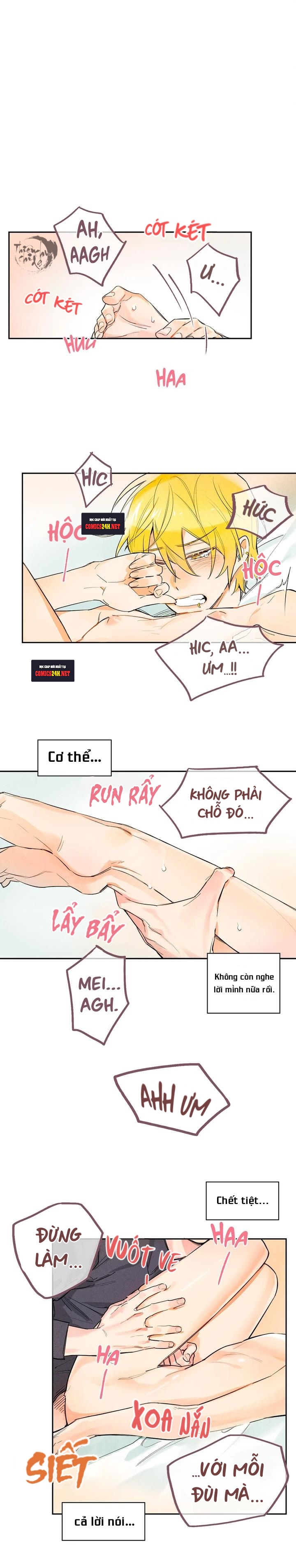 pheromone shower (chim nhại) chapter 2 2