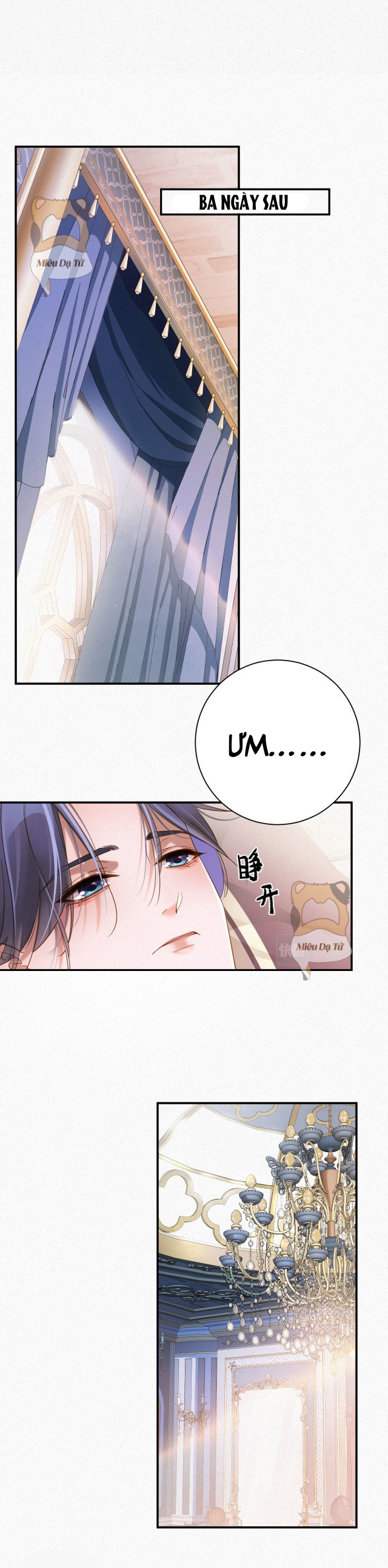 chồng cũ lại muốn phục hôn chapter 1 11