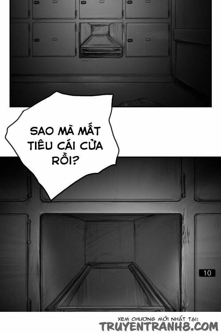 hạt giống mỹ nhân chapter 41 17