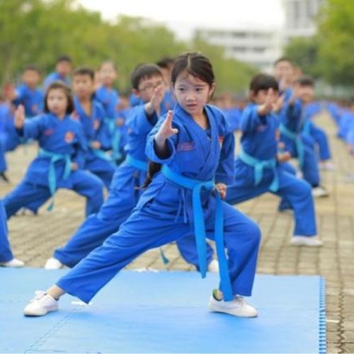 Khóa Học Video Online VOVINAM – Việt Võ Đạo Cơ Bản - Trung Tâm Chăm Sóc Sức Khỏe VMC