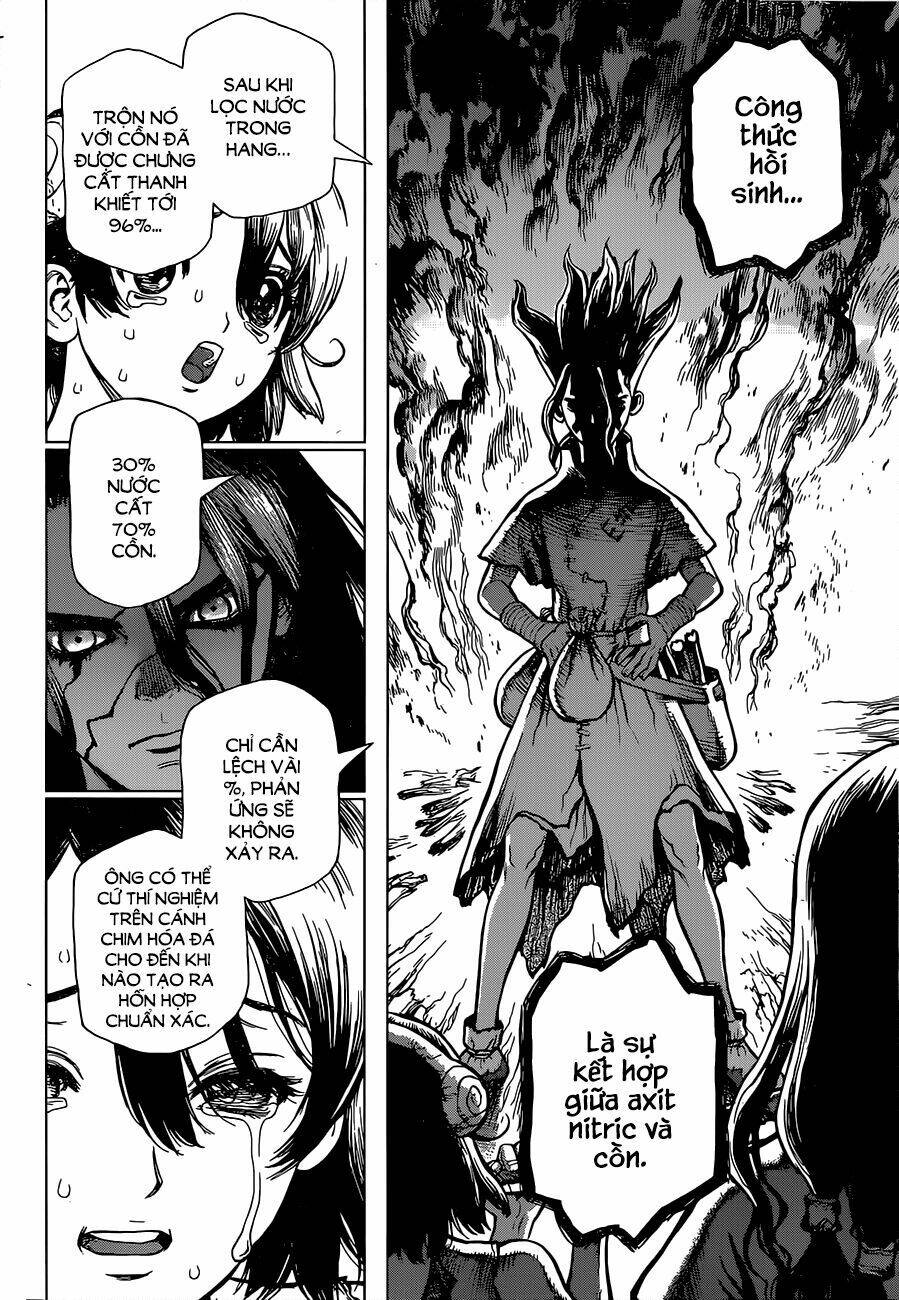 dr.stone - hồi sinh thế giới chapter 9 14