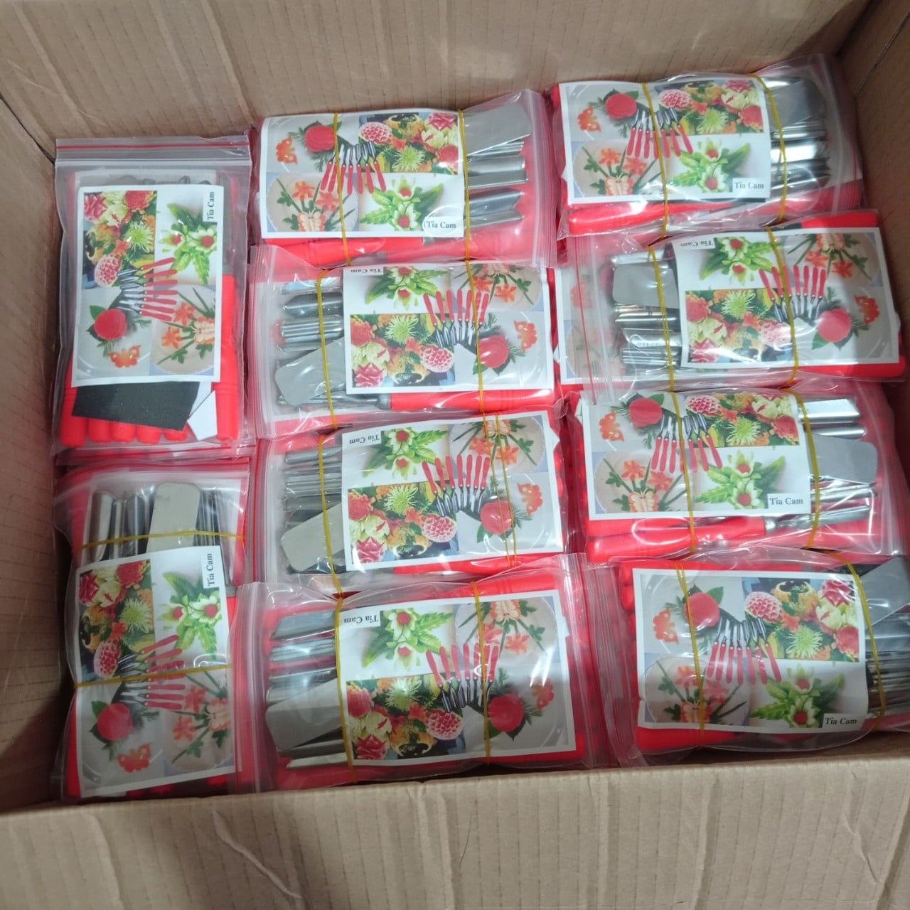 Bộ Dụng Cụ Học Tỉa Cơ Bản