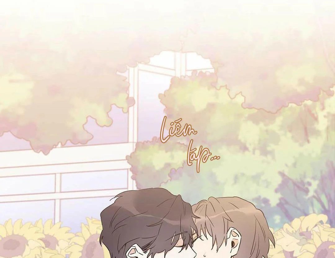 guide cấp b chapter 14 66