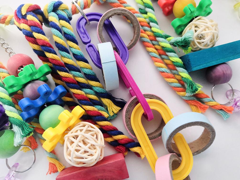 Đồ chơi chim, đồ chơi xích đu chim môi trường sống của chim, đồ chơi nhai nhiều màu