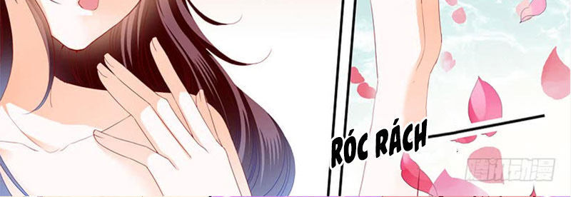 lóe thiểm hôn kiều thê mơ tưởng trốn chapter 218 5