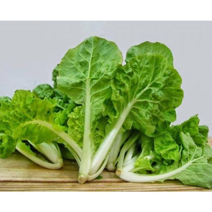 Hạt giống cải bẹ dún , đóng gói 10gr
