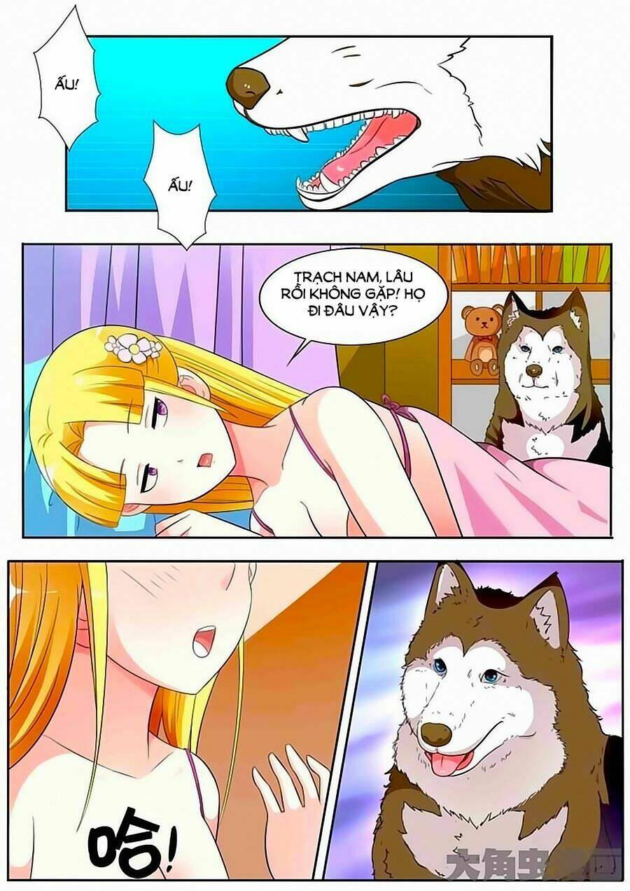 mau lấy con mèo đó ra chapter 17 11