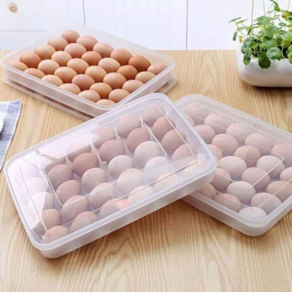 Hộp đựng trứng 24 quả có nắp đậy nhựa Việt Nhật (6786), khay bảo quản trứng không bị vỡ chắc chắn