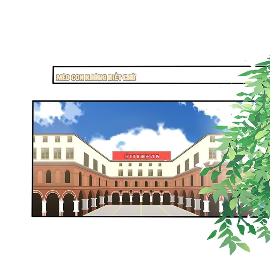 không có ssr làm sao để yêu chapter 12 22