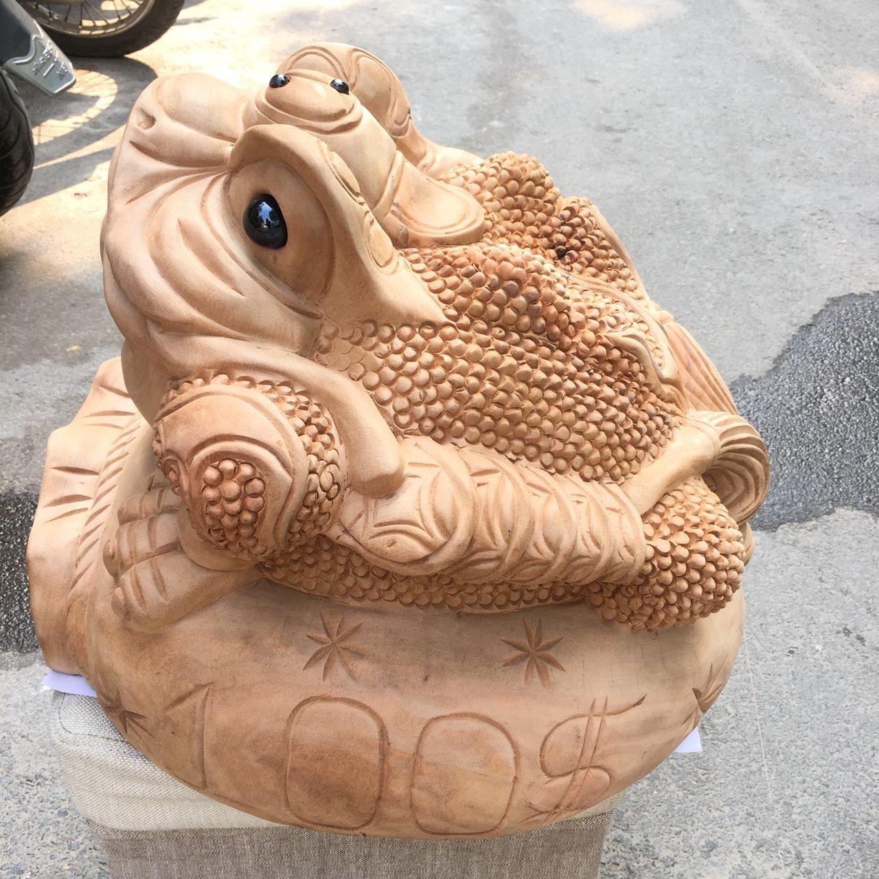 Cóc gỗ xá xị ngang 30cm
