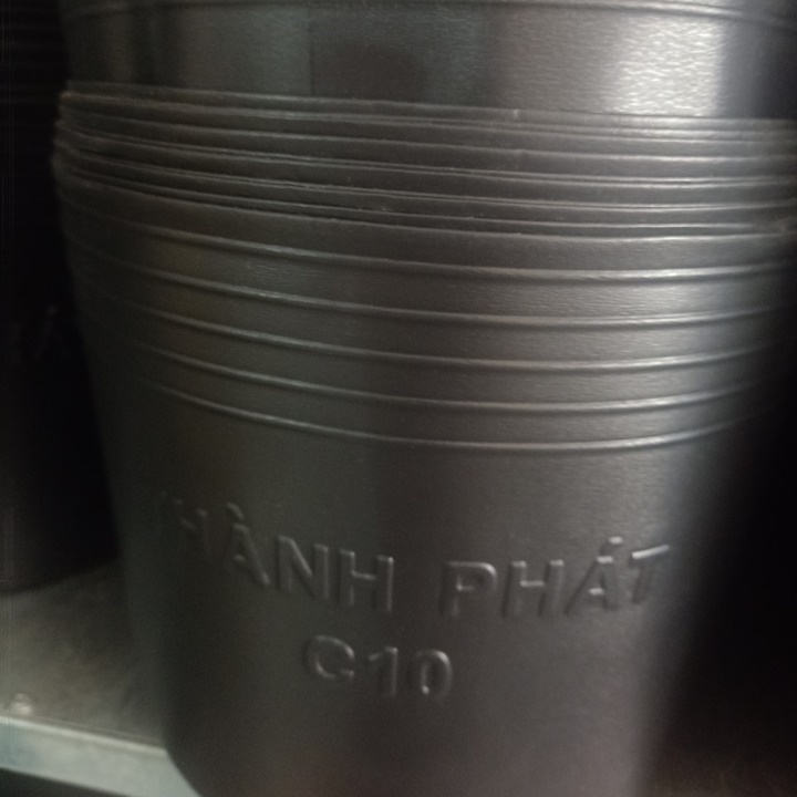 Chậu nhựa đen C10 250x200 50 chậu