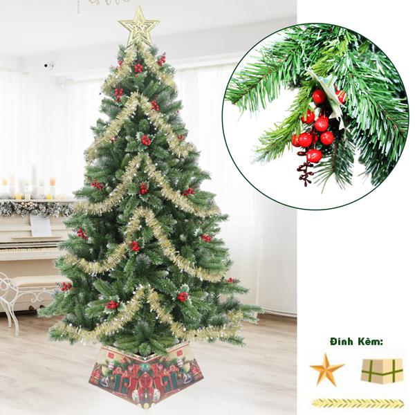 Cây Thông Noel 3 Loại Lá Gắn Trái Đỏ180 cm - Chaang Chiia LP-3LLQC-6R