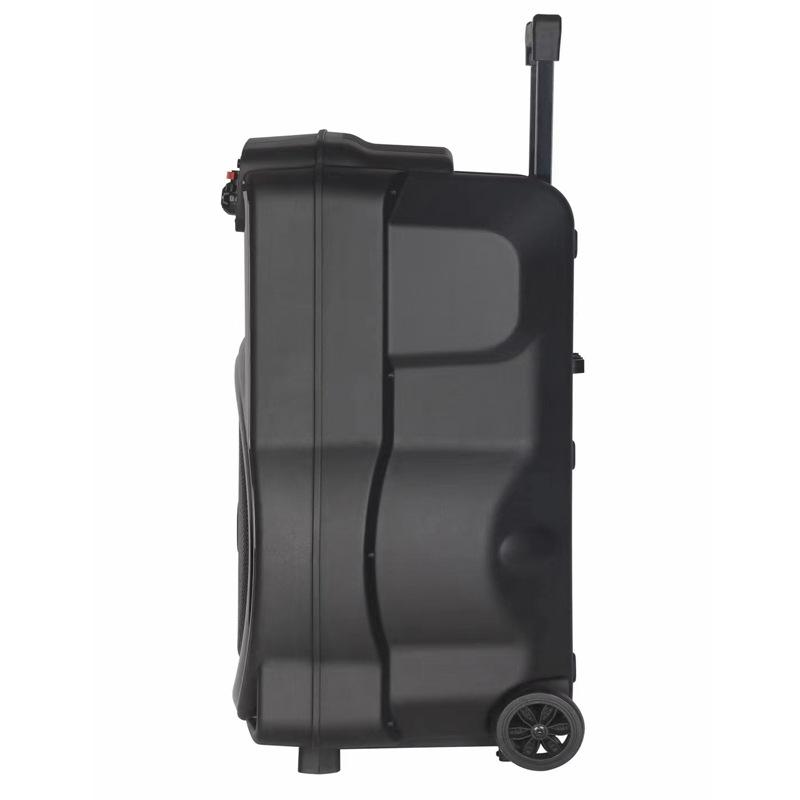 Di Động 1500W Boombox 12 Inch Đèn RGB Xe Đẩy Âm Thanh 40W Bluetooth Ngoài Trời Tiệc Karaoke Bass Cột Không Dây có Mic Color: 8 inch NDR-P08