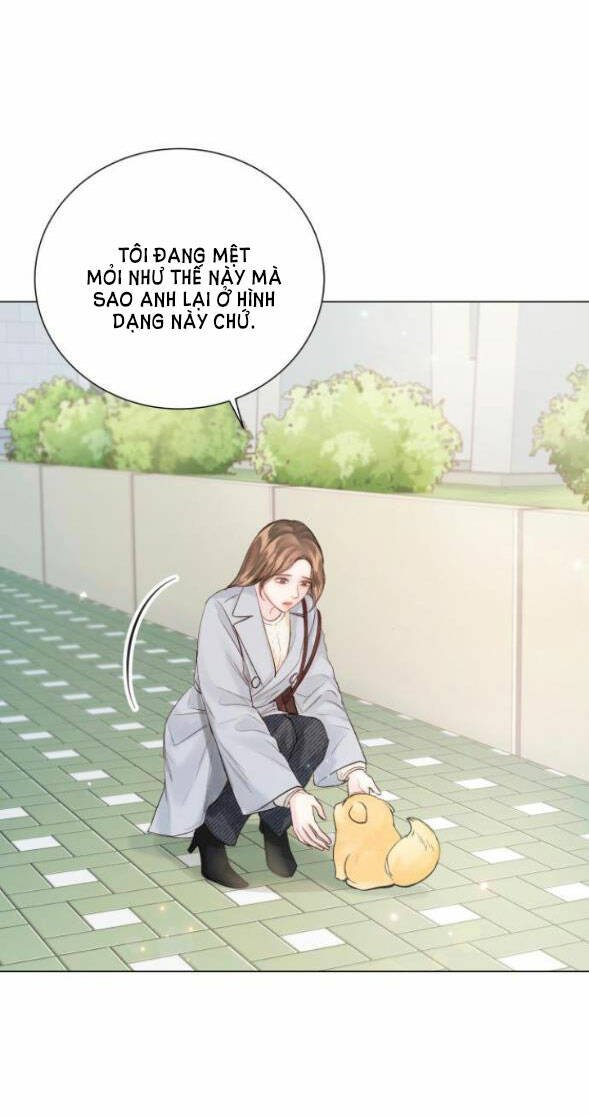 nhất định chúng ta sẽ được hạnh phúc chapter 79.1 7