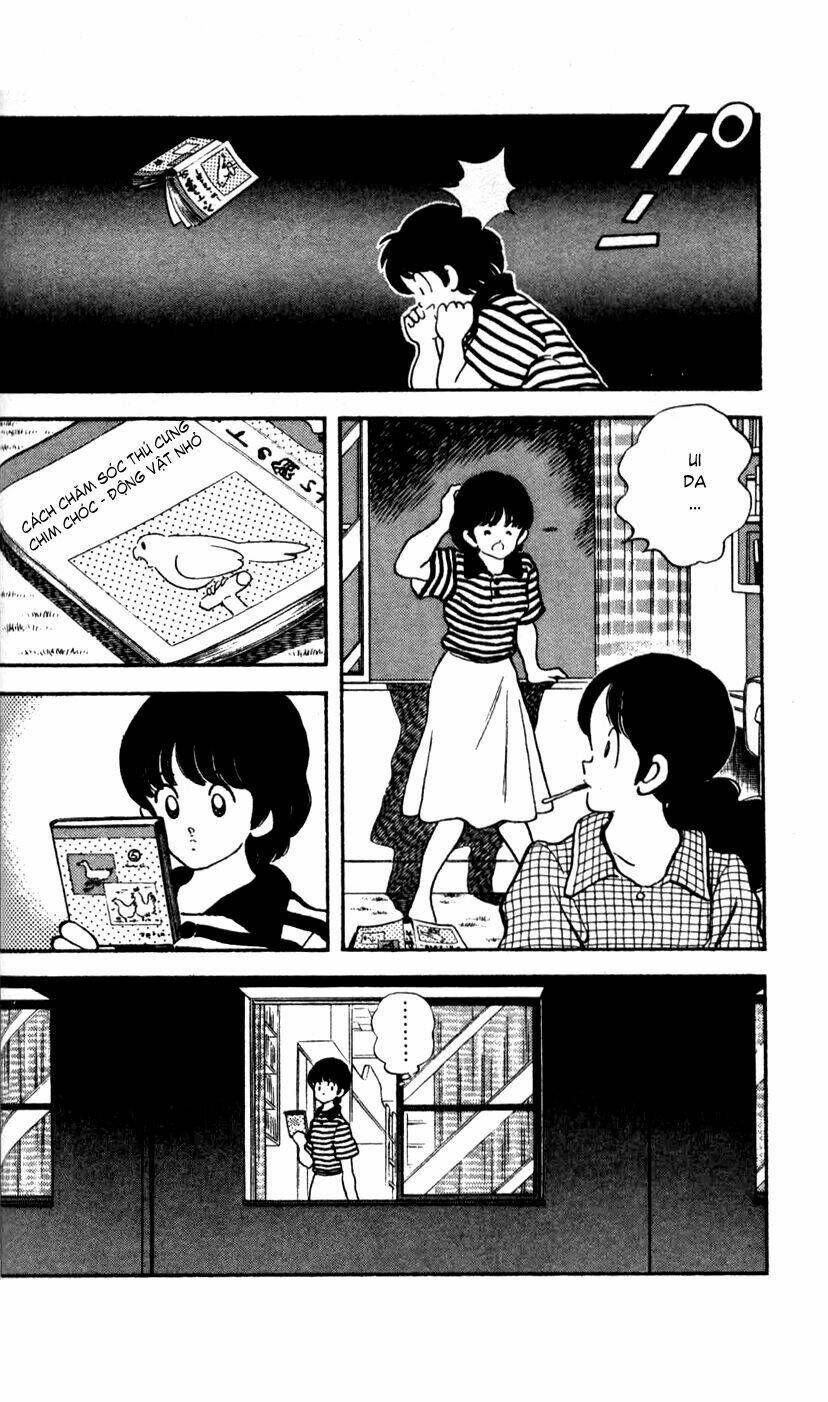 rough - ngọc thô chapter 20 21