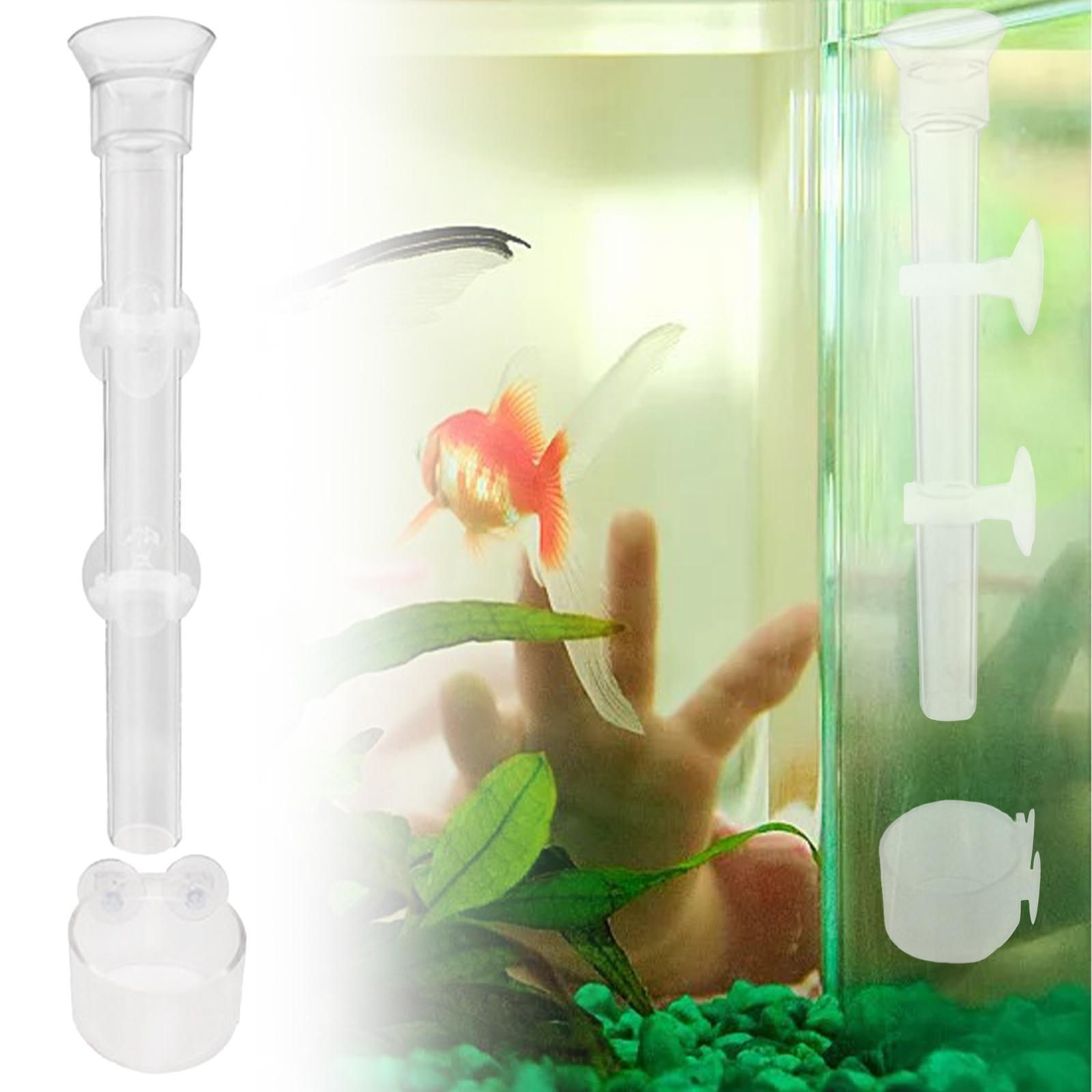 Clear Shrimp Feeder Fish Food Dish Container for Fish Tank