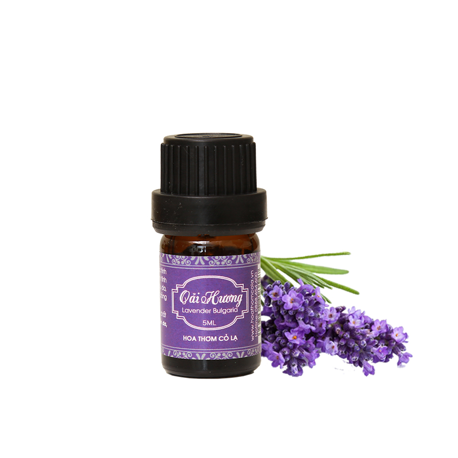 Tinh dầu Oải hương Bulgaria - Lavender Bulgaria Essential Oil 10ml - Hoa Thơm Cỏ Lạ