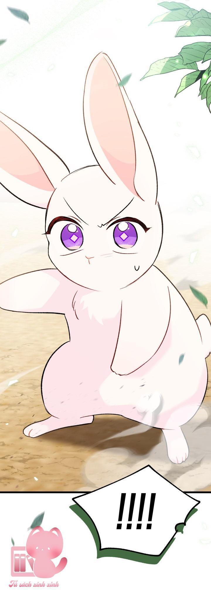quan hệ cộng sinh giữa báo đen và thỏ trắng chapter 82 63