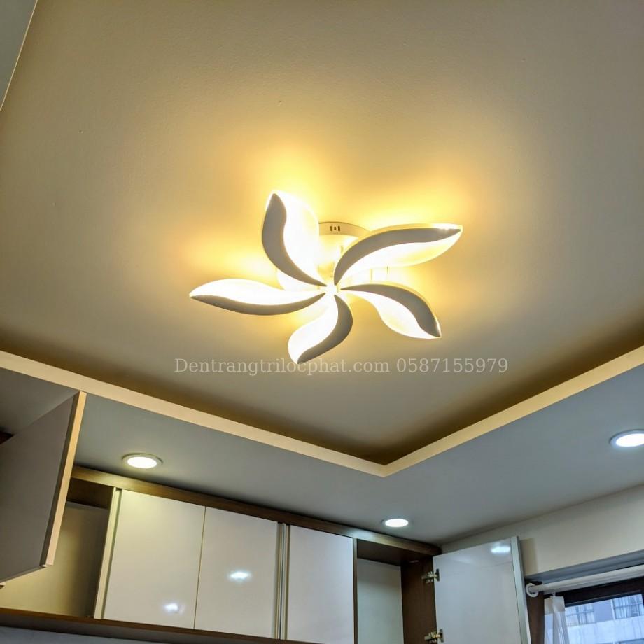 Đèn trần, đèn ốp trần 5 cánh lông mày 3 chế độ ánh sáng kèm khiển trang trí phòng khách, phòng ngủ