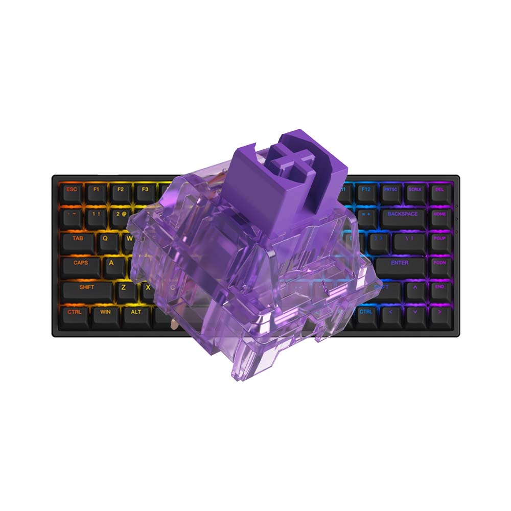 Bàn phím AKKO 3084 v2 RGB BlackWhite Mới, hàng chính hãng - Đen Black - Akko CS Jelly Purple