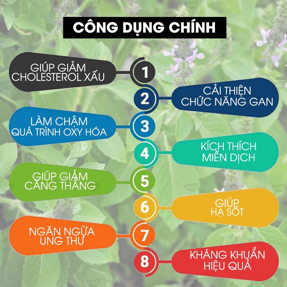 Tinh Dầu Hương Nhu Kobi Holy Basil Essential Oil Giúp Chăm Sóc Da Đầu, Chăm Sóc Tóc, Xoa Dịu Căng Thẳng, Kháng Khuẩn Hiệu Quả