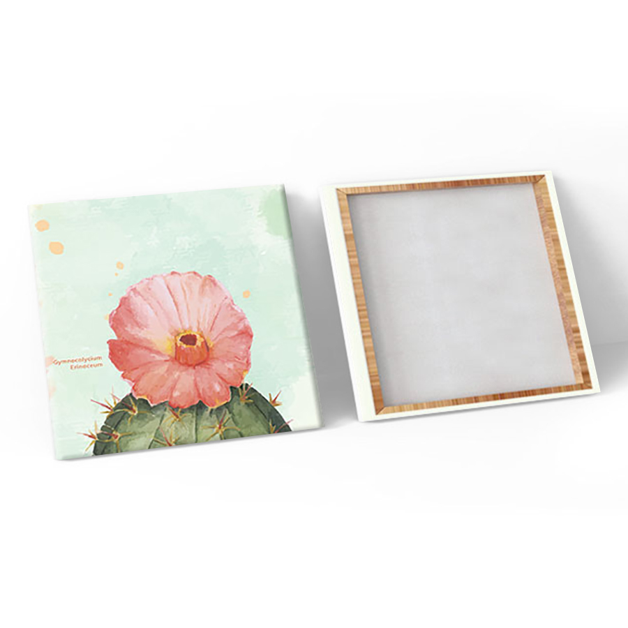 Bộ 3 Tranh Canvas Hoa Xương Rồng - W103