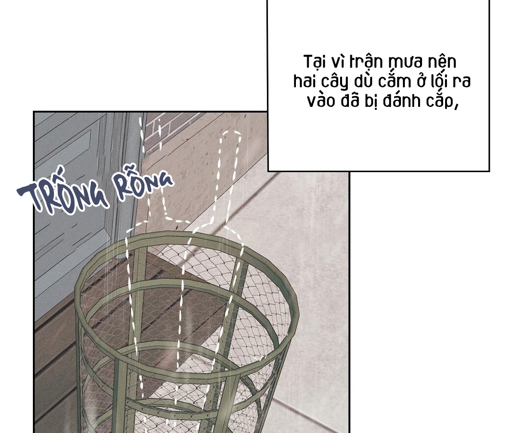 đại úy lãng mạn thân yêu của tôi chapter 12 31