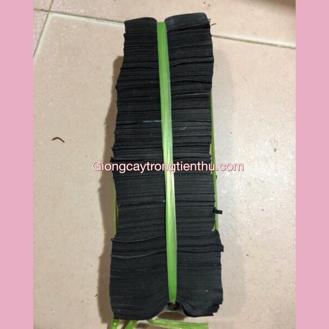 TÚI BẦU ƯƠM CÂY GIỐNG 1kg