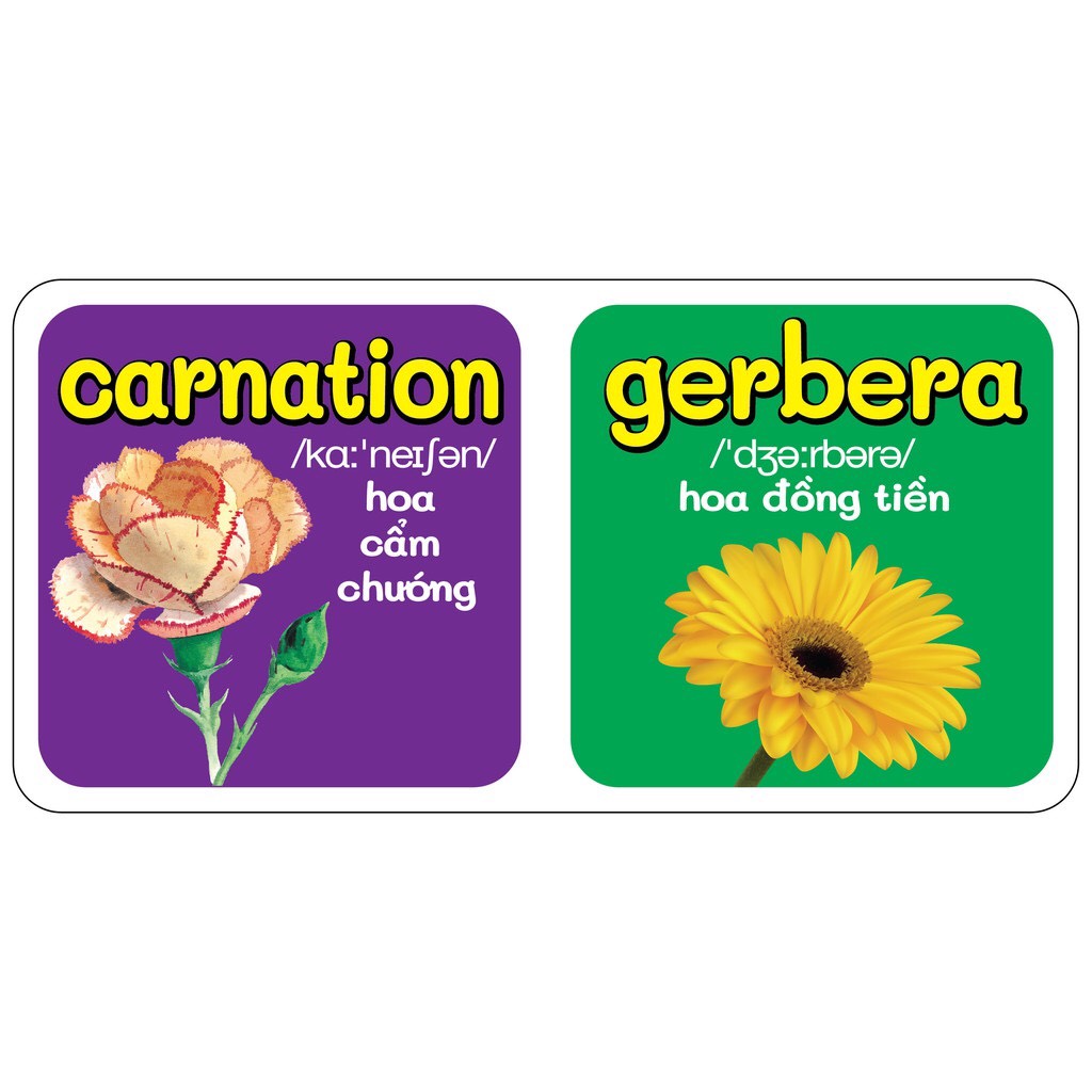 Bộ Sách Baby'S First Picture Dictionary - Từ Điển Bằng Hình Đầu Tiên Của Bé