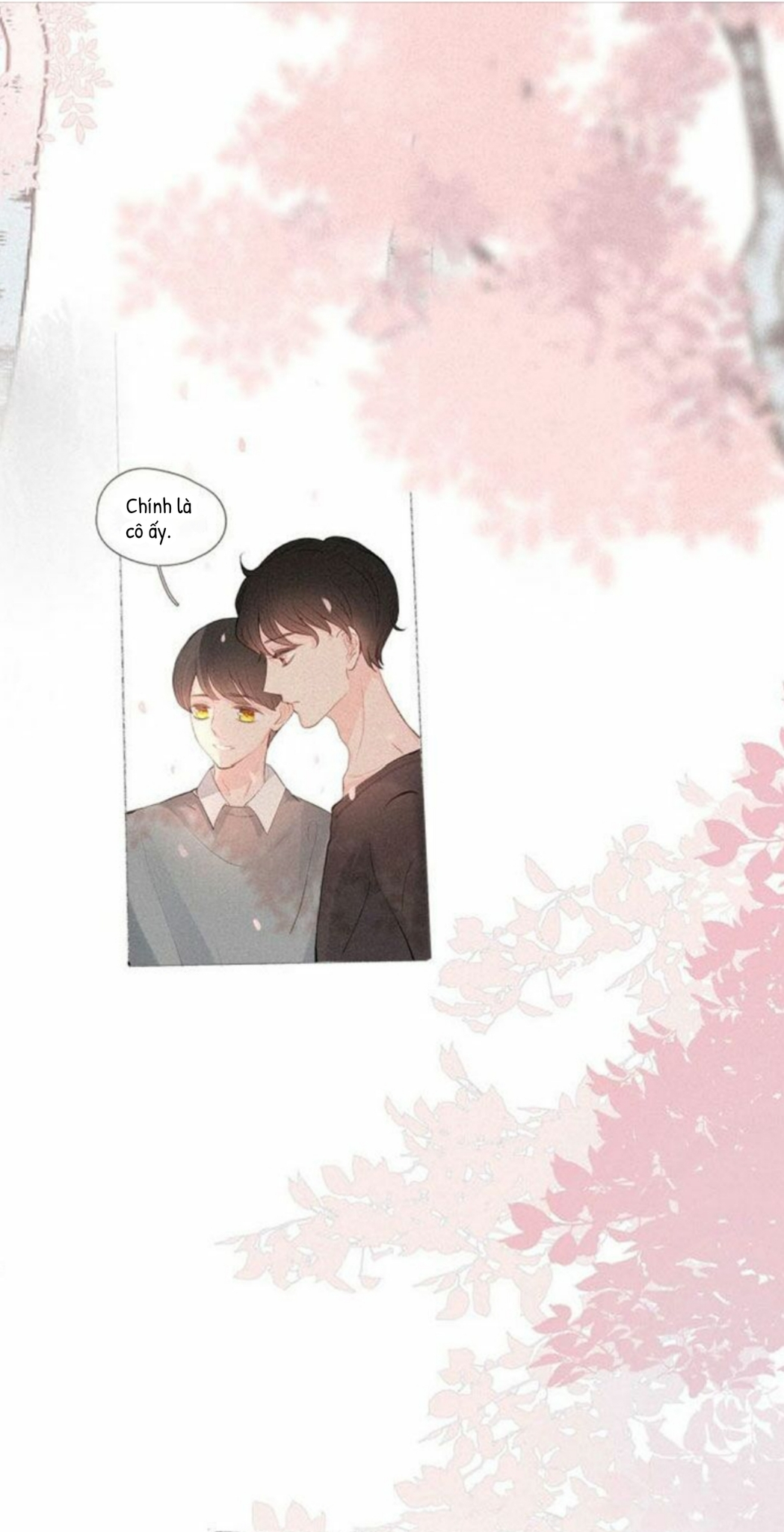 nỗi buồn của hoa cẩm tú cầu chapter 20 15