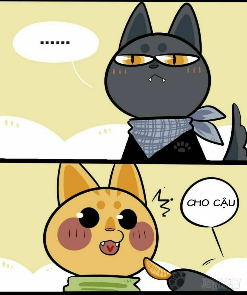 đời không như mình tưởng chapter 9 5