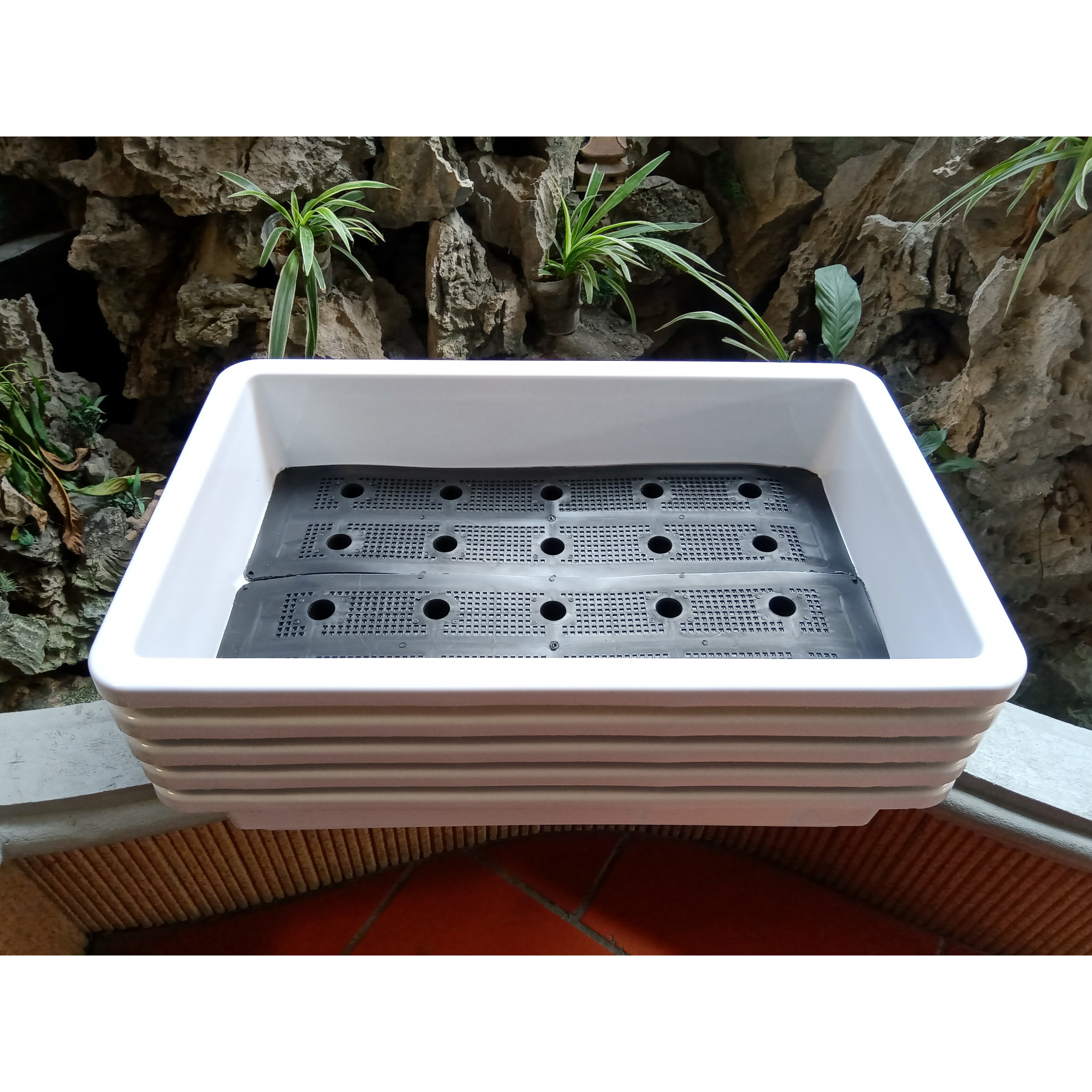 Combo 5 chậu trồng rau thông minh 2 đáy màu trắng 67x43x15 cm