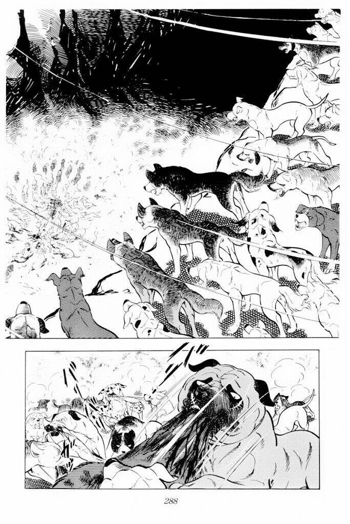 chú chó có nghĩa - ginga nagareboshi gin chapter 30.2 11