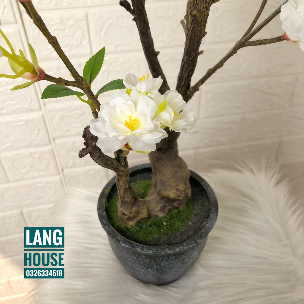 Hoa Giả Hoa Lụa - CHẬU HOA ĐÀO GIẢ CAO 70CM