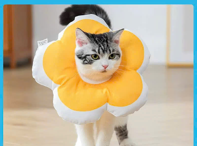 VÒNG CỔ THÚ CƯNG VÒNG CỔ LOA CHỐNG LIẾM CHO THỎ CHÓ MÈO BÔNG HOA DỄ THƯƠNG TỪ 0.5-5.5KG MÃ 10 CHO CHÓ MÈO THỎ